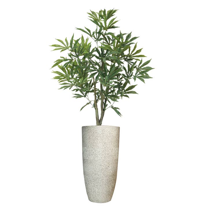 50"H Cannabisplanta, med repkorg för wholesale av Vintage Home