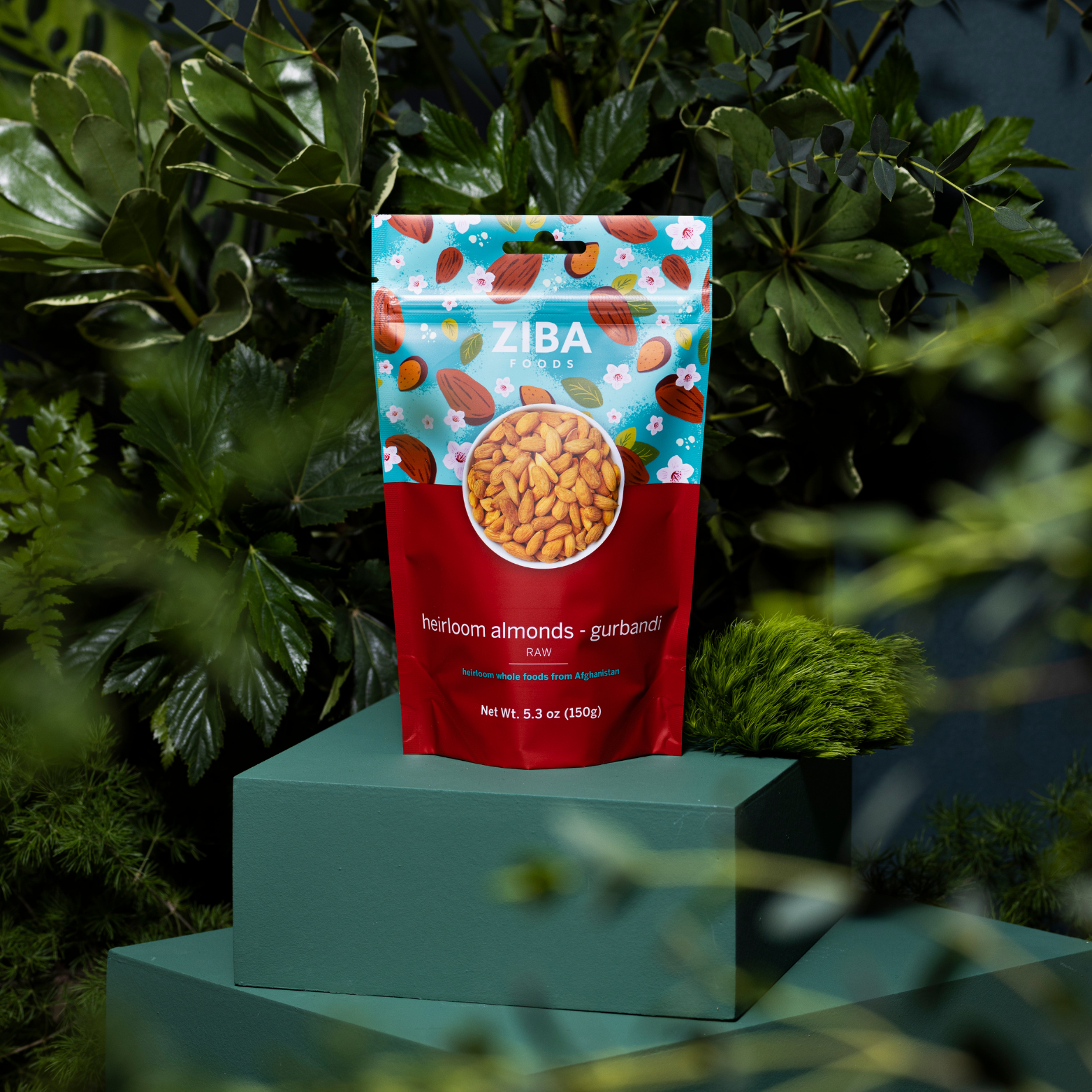 Ziba Foods – wholesale Nötter – Heirloom Mandel Gurbandi (rå) Snack med en servering Vegan 1 oz8