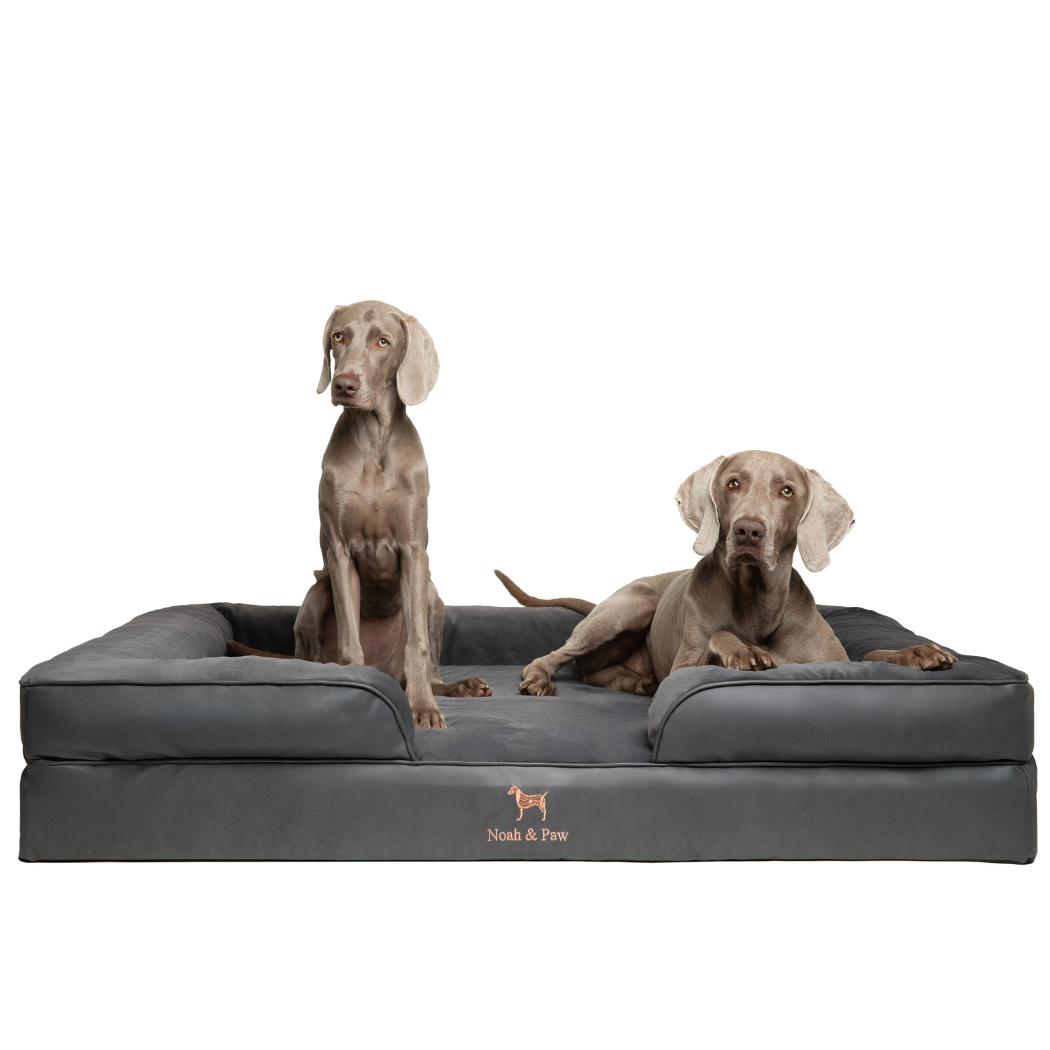 NOAH AND PAW LLC – Großhandel Haustierbett – Katze/Hund – Orthopädisches Hundebett im Sofastil aus Kunstleder mit Memory-Schaum und kühlendem Gel17