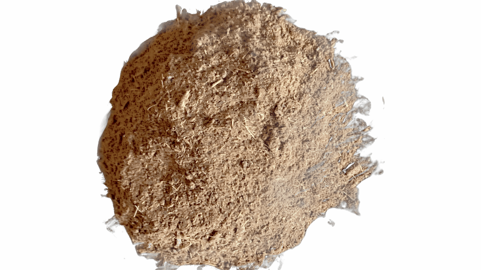 GreenTune - Wholesale Oral Supplement/Vitamin - BLOOD & LYMPH2