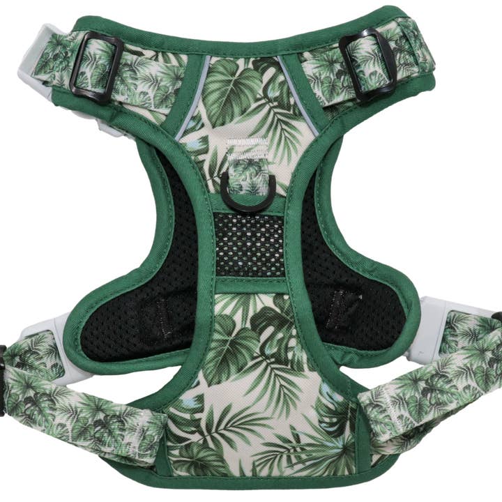 Big and Little Dogs – wholesale Sele - Hund – DEN ALLROUNDARE HUNDHARNESS: Förlorad i paradiset1