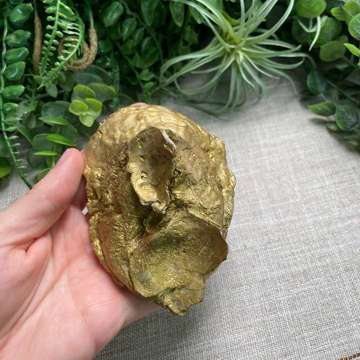 Copper Ashes - Wholesale Spiritual Stone/Crystal - Decoupage Shell1