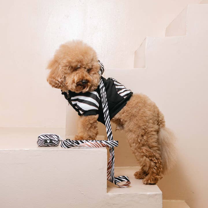 Frenchie - Vente Sweat à capuche – chien - Sweat à capuche pour chiens Frenchie - Zebra4