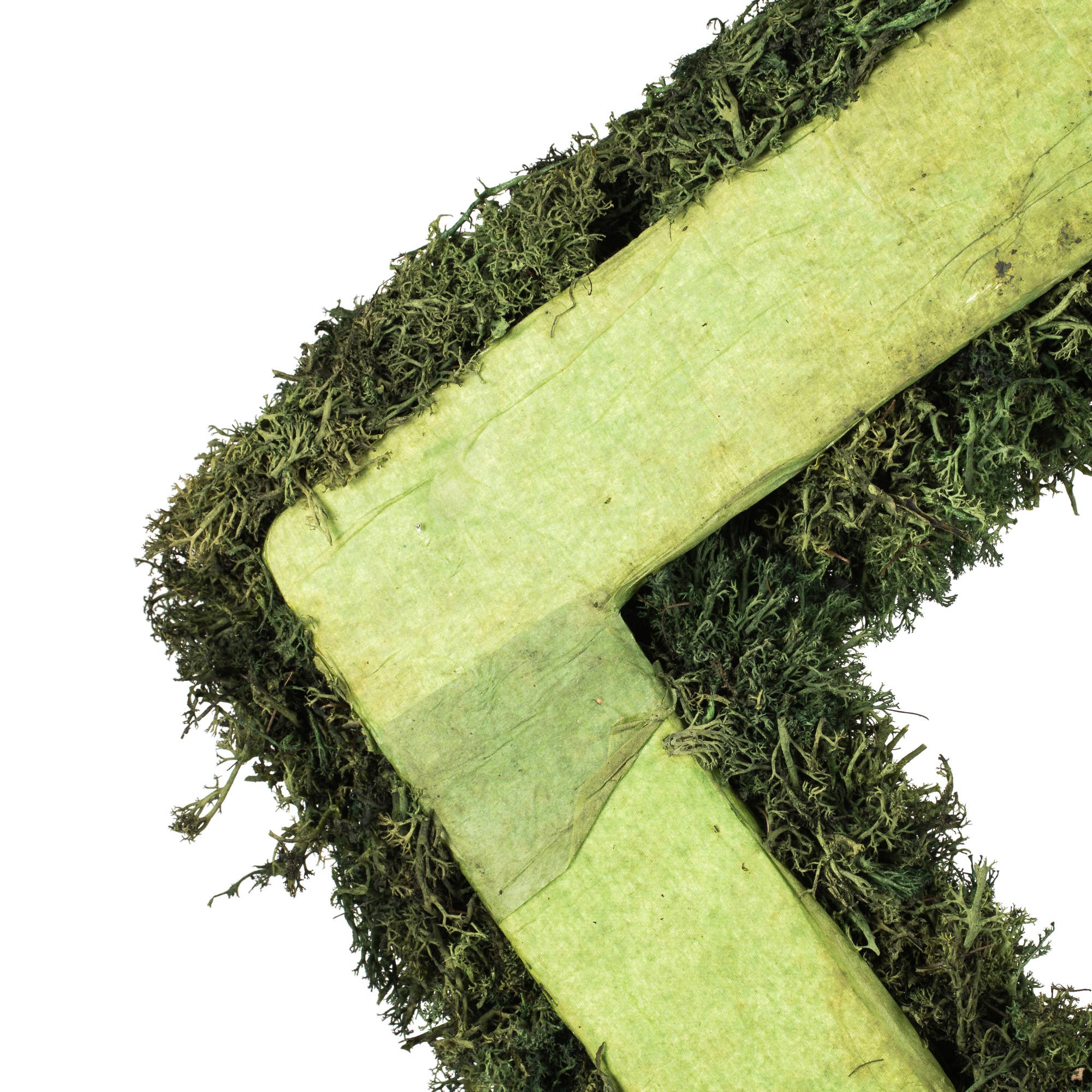 Dark Green Vickerman 15 .5" Artificial Reindeer Moss Square Wreath. for wholesale on Faire3