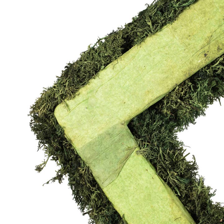 Dark Green Vickerman 15 .5" Artificial Reindeer Moss Square Wreath. for wholesale on Faire3