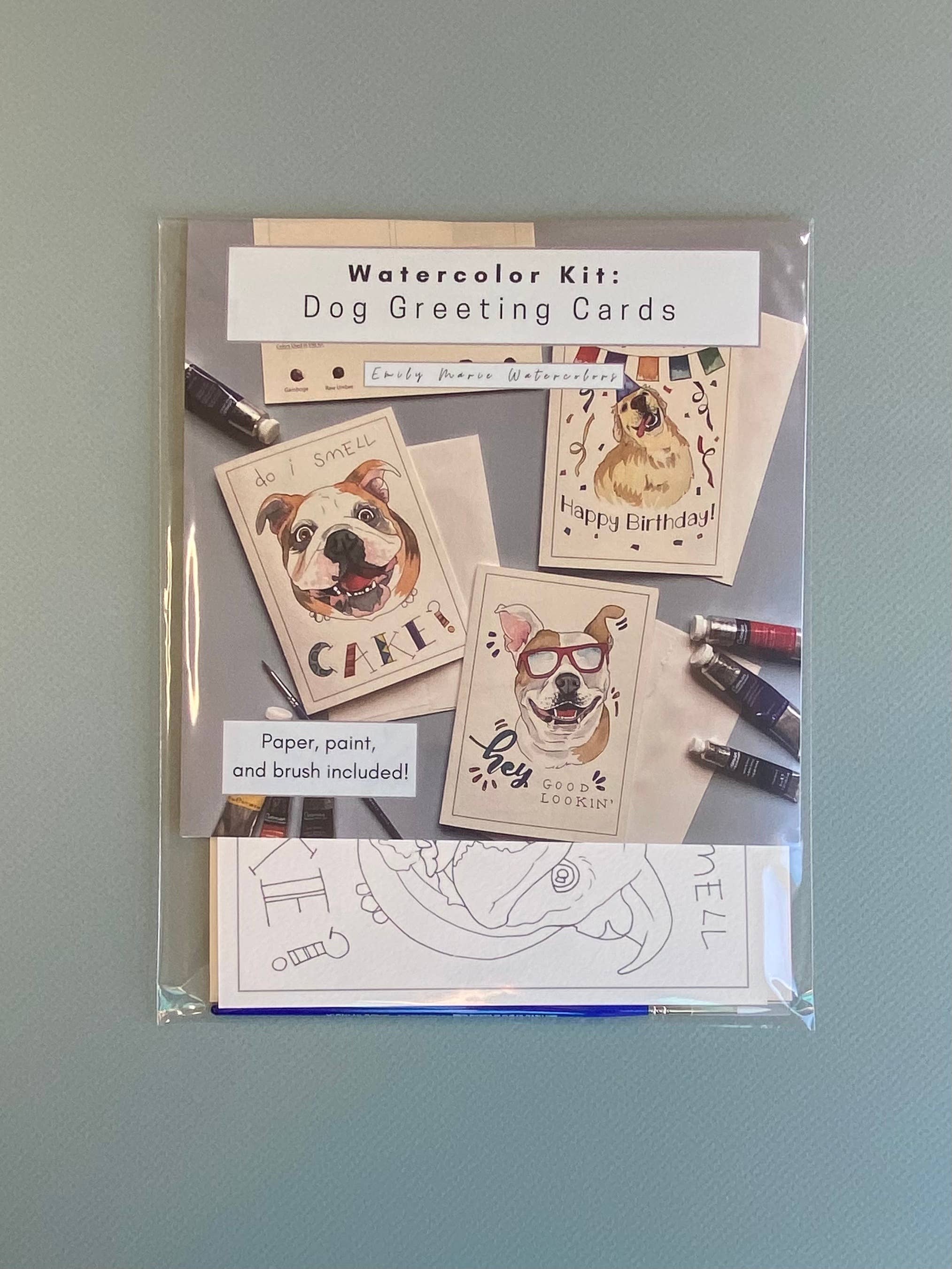 Emily Marie Watercolors - Wholesale DIY Craft Kit - Watercolor Painting Kit: Dog Greeting Cards1