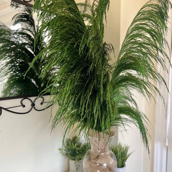 Large Preserved Pampas Grass - Silky Feel - Dry Flowers for wholesale by One Way Home