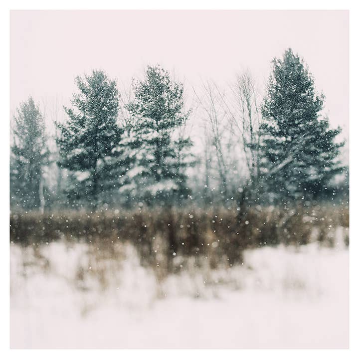 Wonderland Fine Art Print for wholesale by Alicia Bock Print Shop