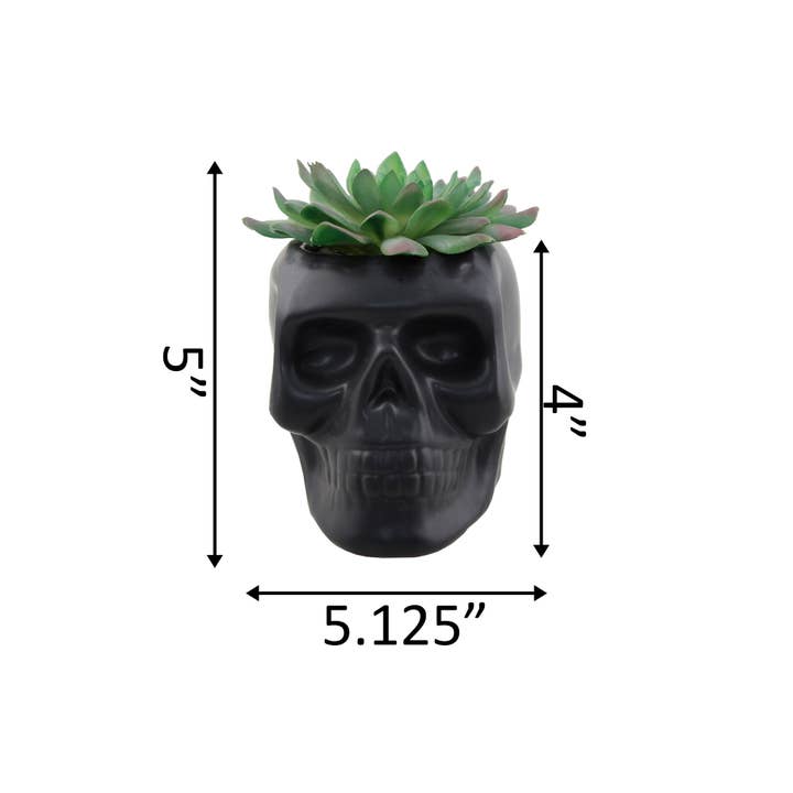 Flora Bunda Inc - Wholesale Artificial Plant - Skull Succulent Planter5