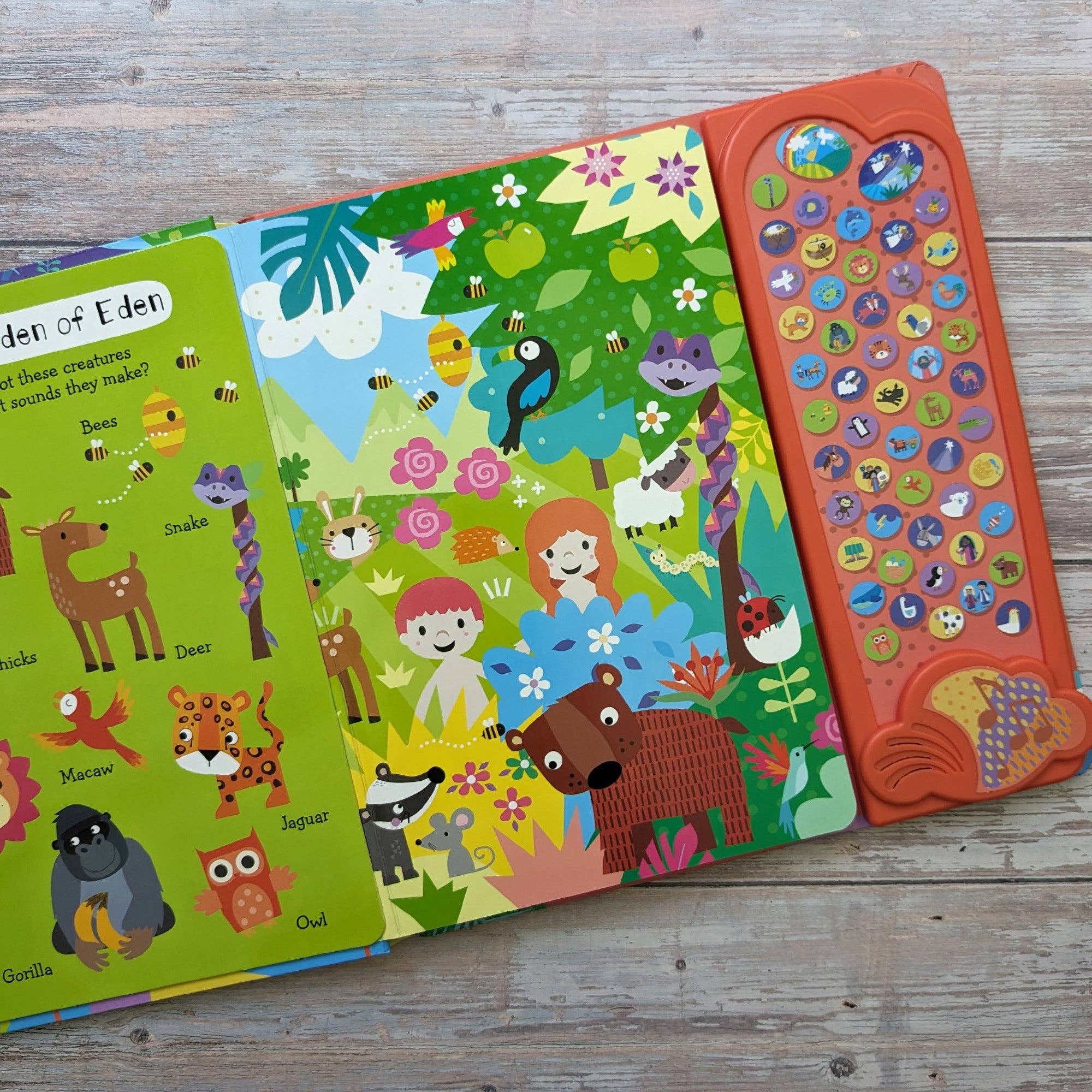 Robert Frederick Ltd – wholesale Pre-school book (3–5) – My First Look And Find Bible - Children's 50 Button Sound Book2