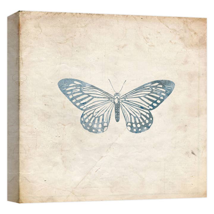 Silver Monarch 22'' x 22'' Canvas Wall Art for wholesale by PTM Images