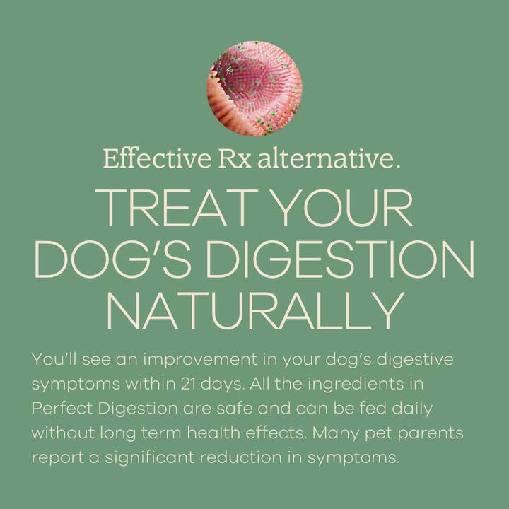 Yumwoof Natural Pet Food - Wholesale Pet Supplement - Dog - Perfect Digestion 1