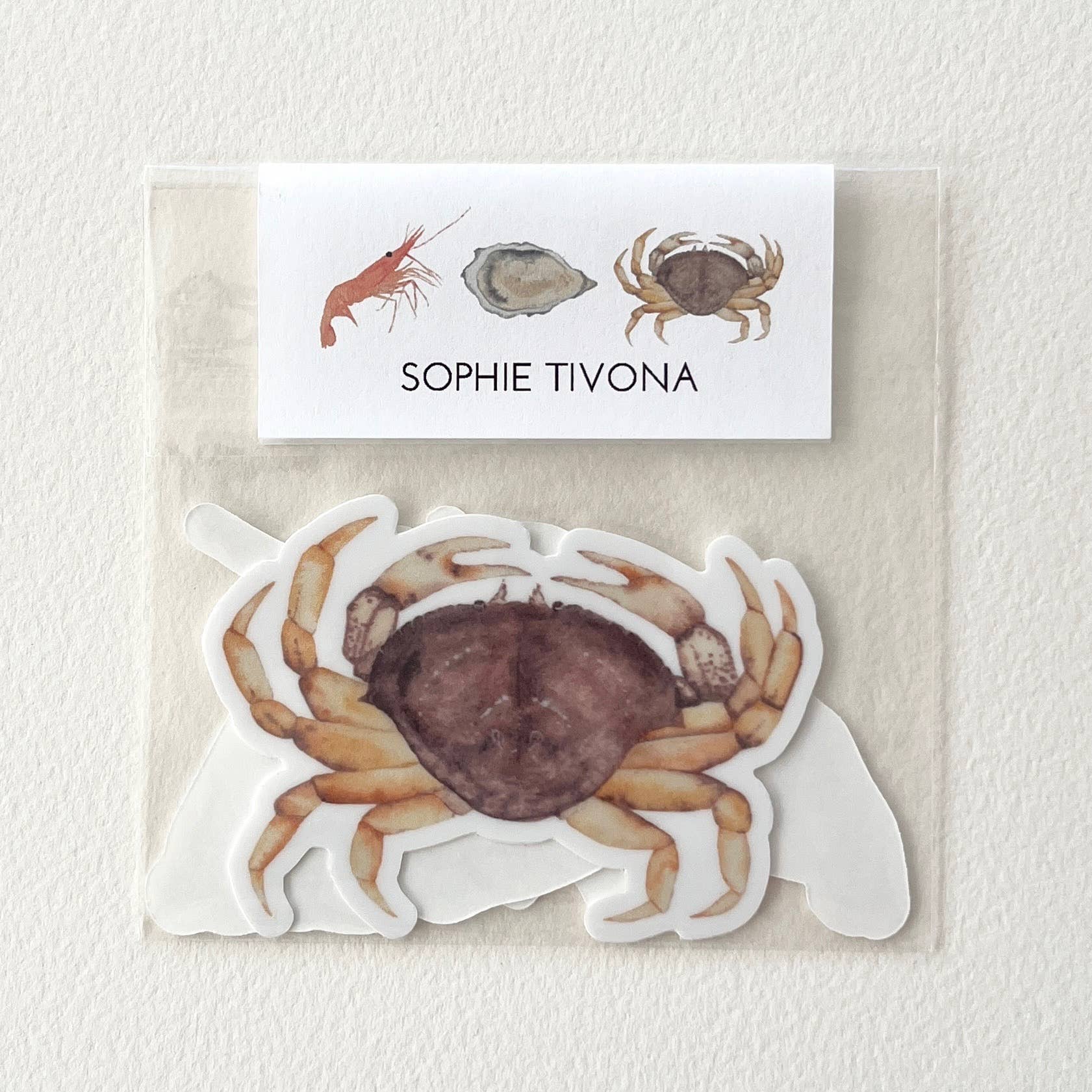 Sophie Tivona Paper - Wholesale Sticker - Sea Life Shellfish Sticker Pack - Prawn, Oyster, Dungeness Crab2