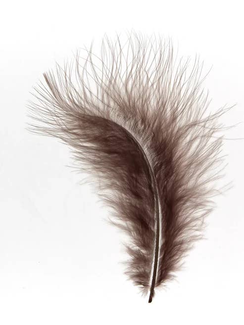 Marabout 12-15 cm Brun clair pour la vente par Enkels Feathers