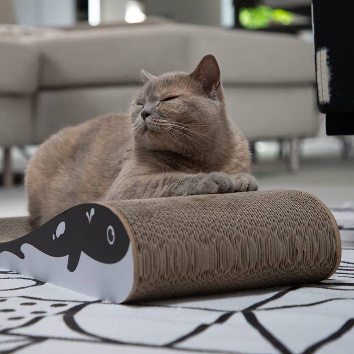 Hoopo - Wholesale Pet Scratcher - Cat - Wally scratching furniture2