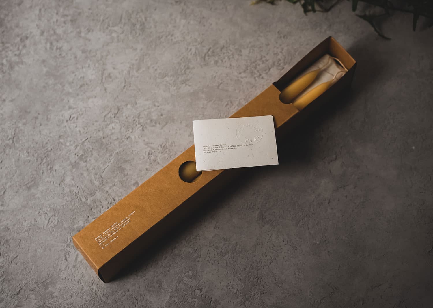 Skär Organics - Vente Bougies/bougeoirs coniques - Bougie dînatoire conique en cire d’abeille biologique1