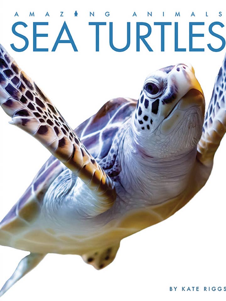 Fantastiska djur - Ny utgåva: Havssköldpaddor för wholesale av The Creative Company