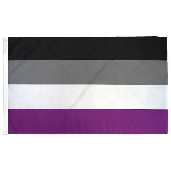 Flags For Good - Wholesale Flag - Asexual (Ace) Pride Flag