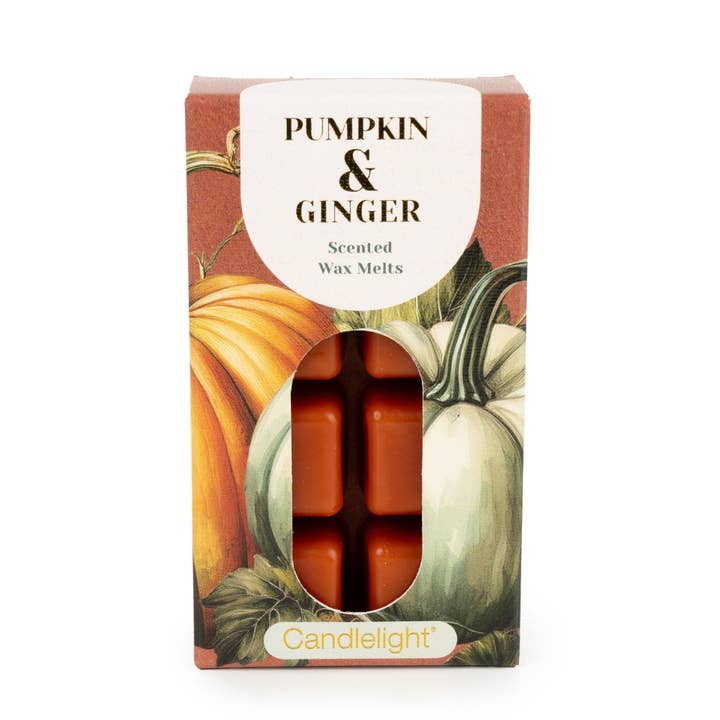 8 Pack Wax Melts - Pumpkin & Ginger 12pk for wholesale by Candlelight Products Ltd