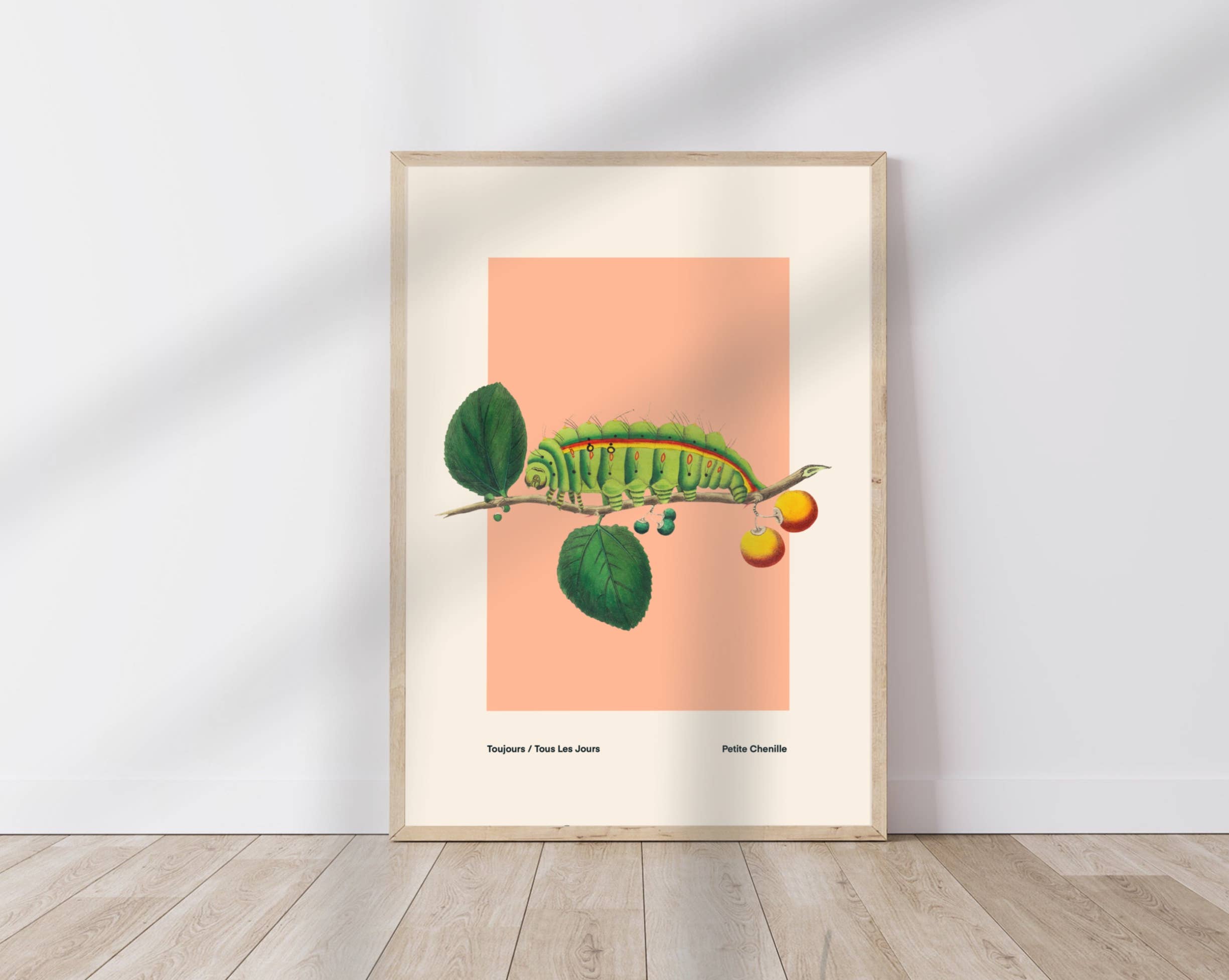 Kate Fox Design – wholesale Art print – Bug Art Print, Green, Blue, Red., Vintage, Insect Art0