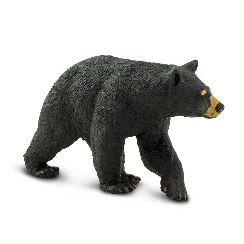 Safari Ltd. - Wholesale Decorative Figurine - Black Bear - 2735293