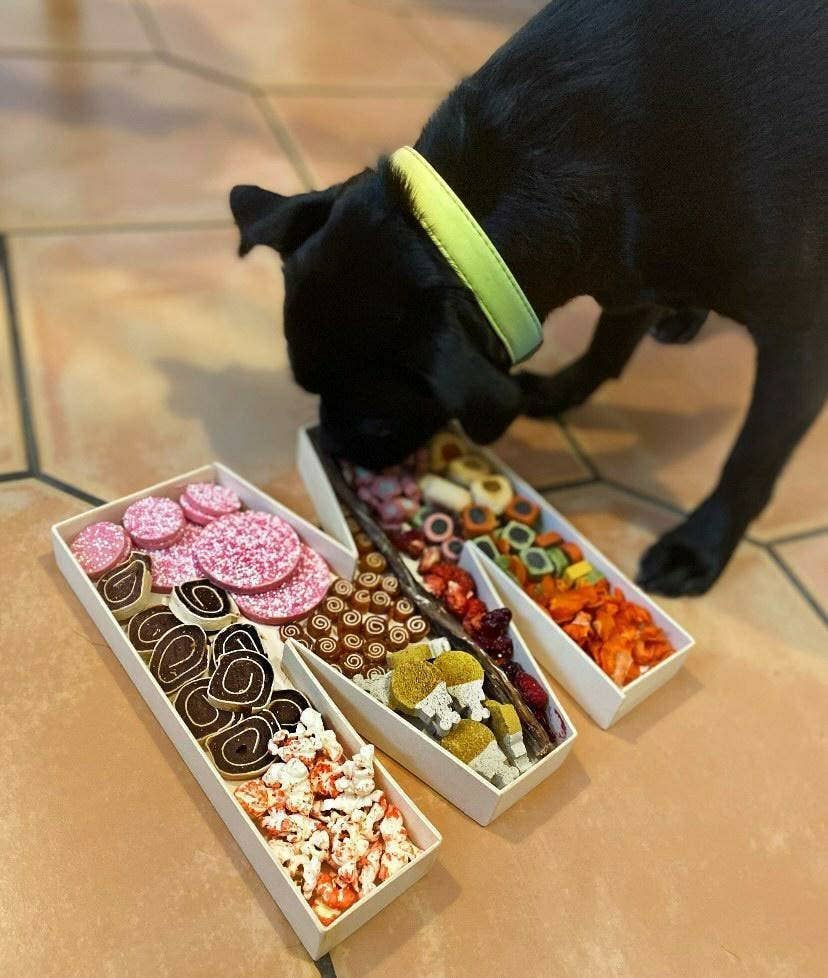 DOGraze - Vendita all'ingrosso Snack - Cani - Snack per cani a forma di lettera riempibile1