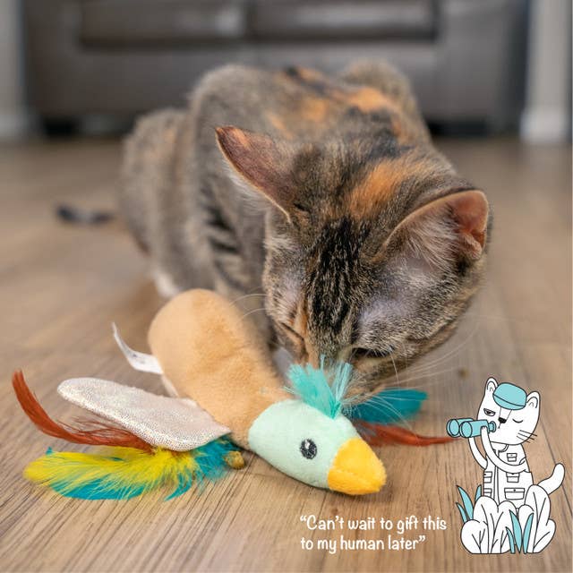 Pet Palette Distribution - Wholesale Pet Toy - Cat - Catstages Flapperz Duck Cat Toy Brown