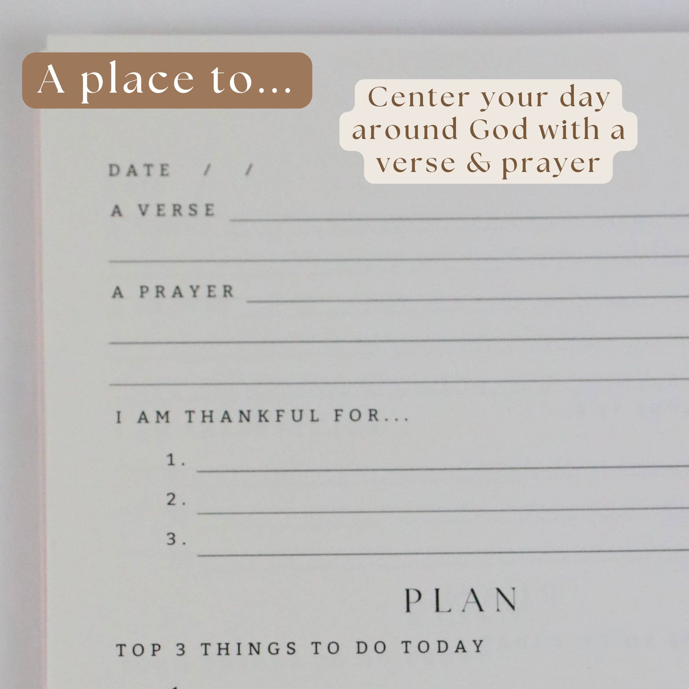 Steadfast and Sustained - Wholesale Planner - Daily Faith-Based Planner - Devotional Journaling Prompts, Calendar Planning, and Daily Planning3