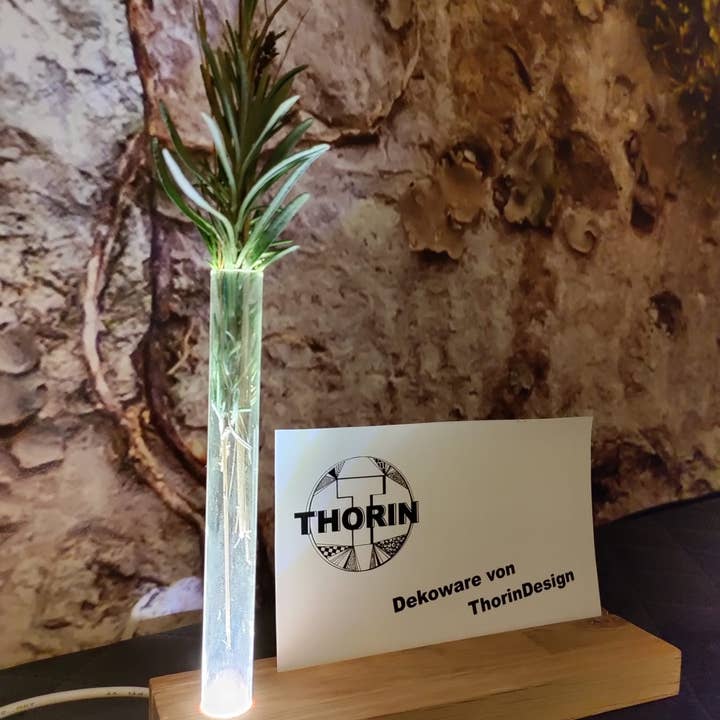 Thorin Moebel - Wholesale Vase - table decoration, photo stand, vase with LED light