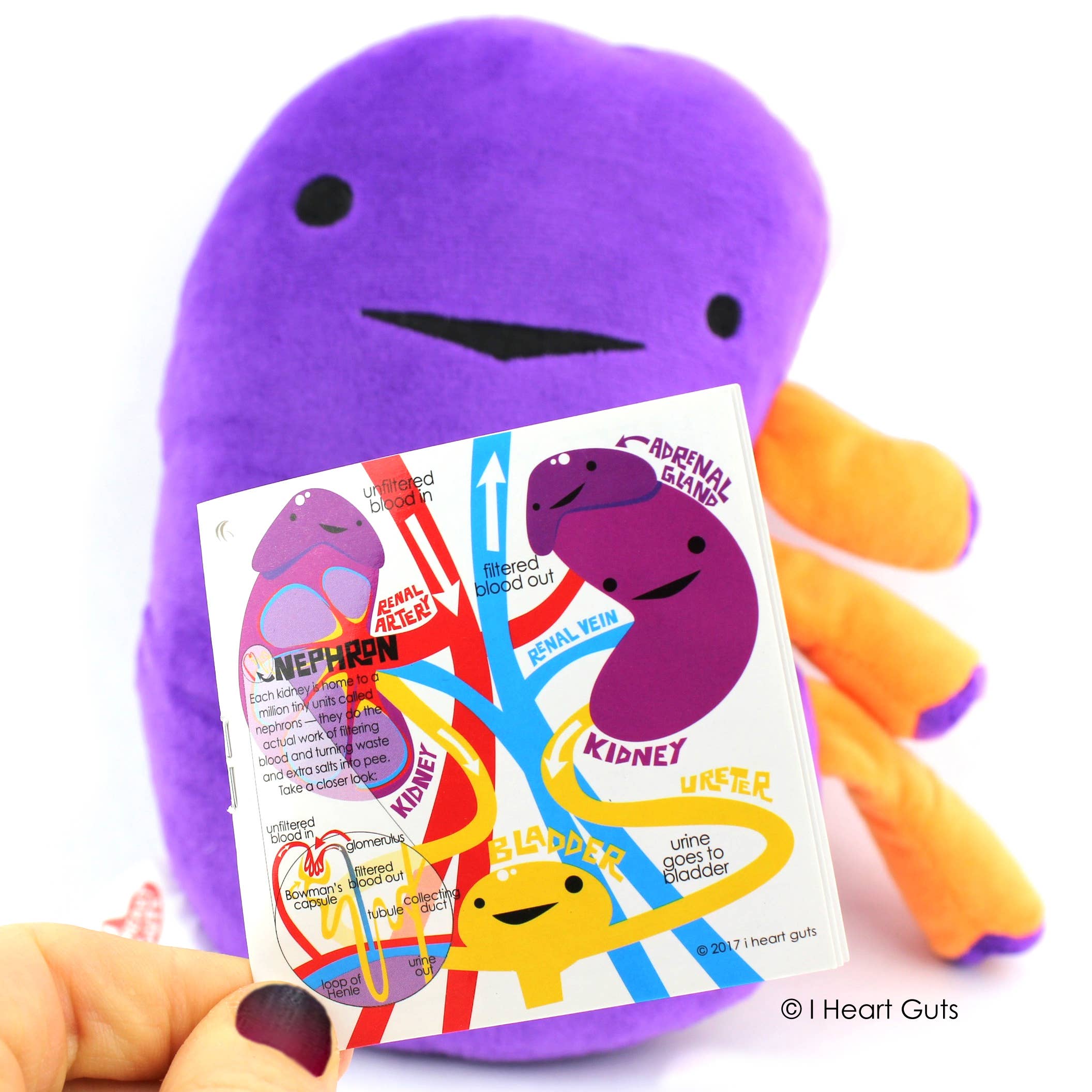 I Heart Guts | Organ Plushies Wholesale - Wholesale Stuffed/Plush Toy - Kids & Baby - Kidney Plush - When Urine Love7