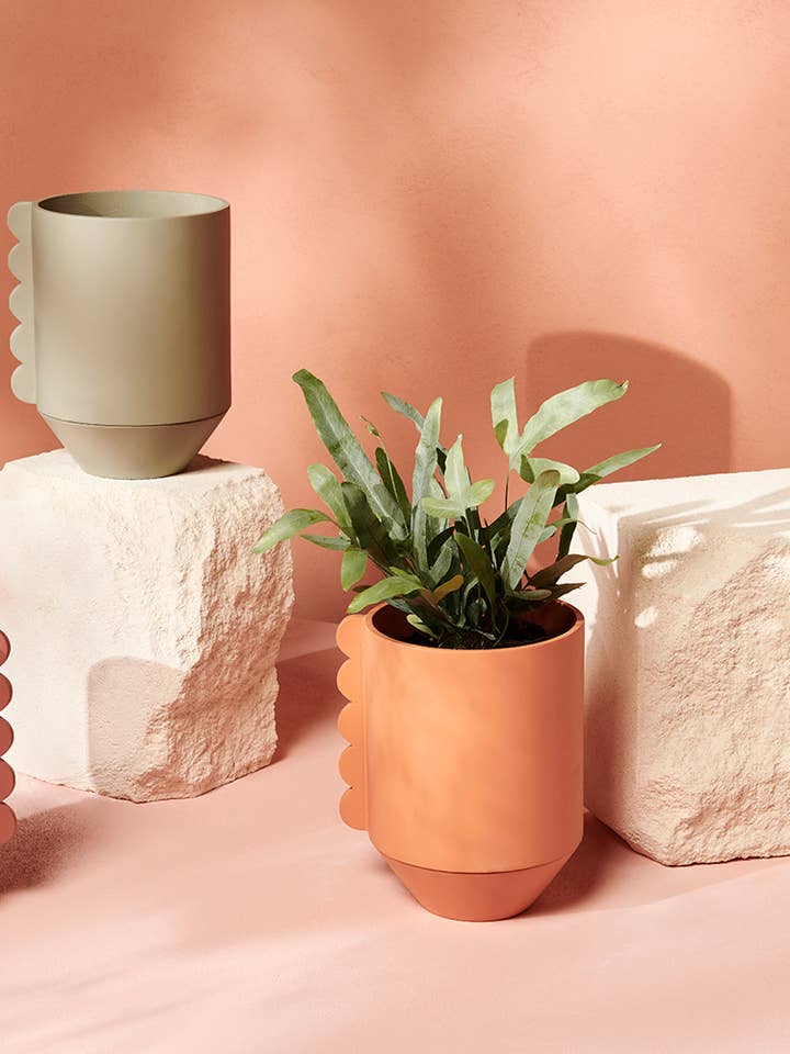 Frill Feature Planter - Gum Leaf for wholesale by Capra Designs