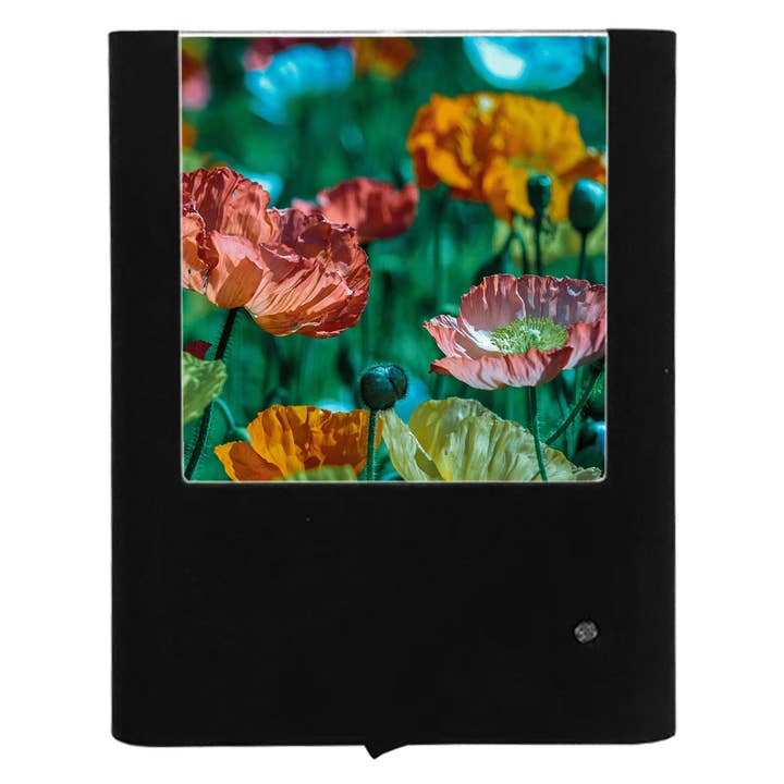 Poppies for wholesale by Nightlight Studio