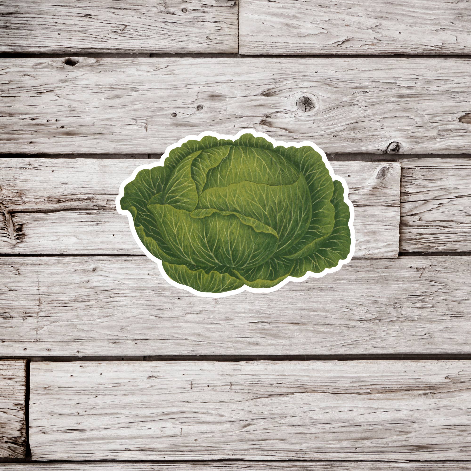 NatureCuts - Vente Autocollant - Autocollant de laitue, autocollant de légumes, autocollant de jardin