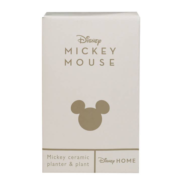 WIDDOP and Co. – Großhandel Kunstpflanzen – Disney Mickey Pflanzgefäß3
