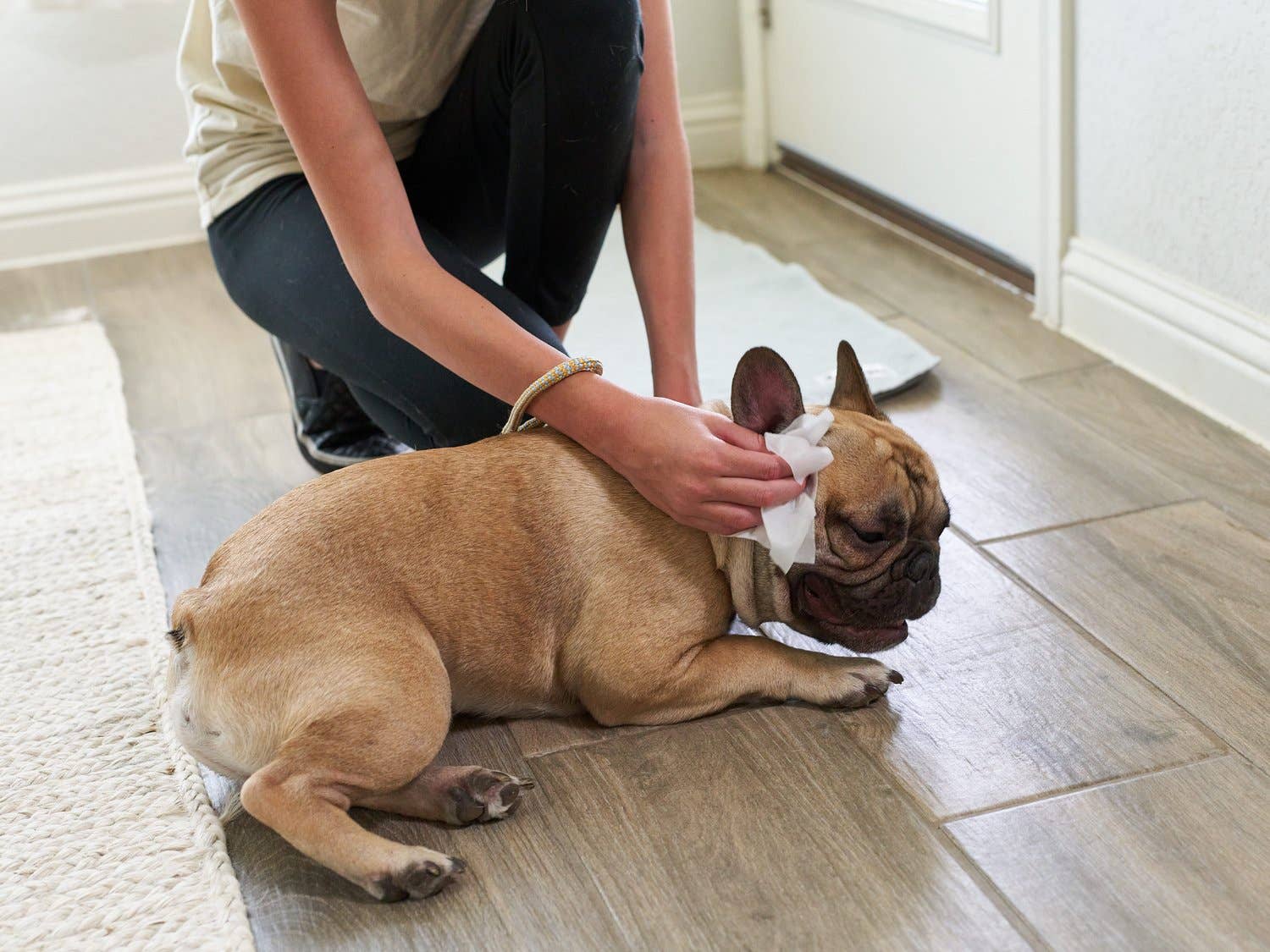 Pet Parents® - Vente Produit de toilettage – chien - Lingettes auriculaires Pet WiPees™ pour chiens et chats, 100 ct7