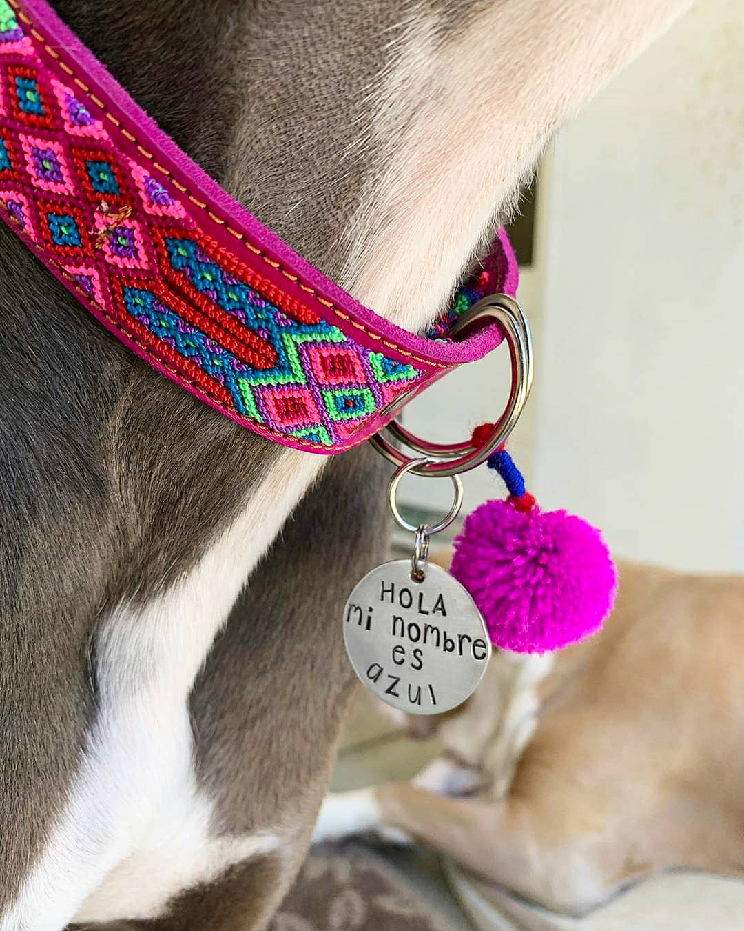 Mom And Pup Co. - Wholesale Pet Collar - Dog - XL Mexican Pet Collar - Colorful Leather Dog Collar, Boho1