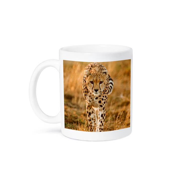 3dRose - Wholesale Coffee Mug - 3dRose, Cheetah, Acinonyx jubatus, portrait, Maasai Mara, Kenya., Mug8