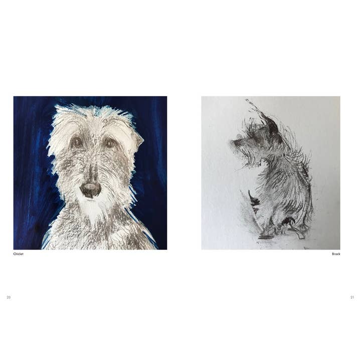 HarperCollins - Wholesale Book - Adult - Rescue Dogs: Sally Muir