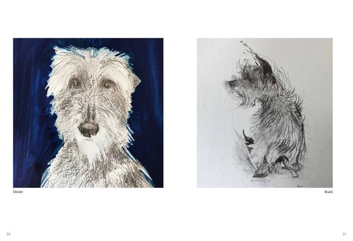 HarperCollins - Wholesale Pet Book - Rescue Dogs: Sally Muir3