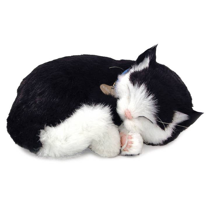 Kelli's - Wholesale Pet Plush Toy - Dog - Perfect Petzzz - Black & White Kitten1