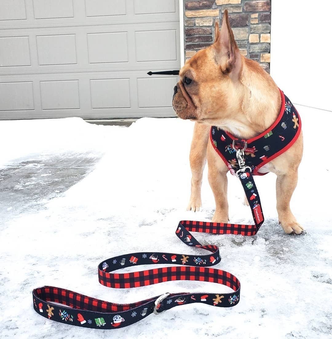 Frenchiestore - Wholesale Pet Leash - Dog - Dog Pet Luxury Leash | Red Buffalo Plaid1