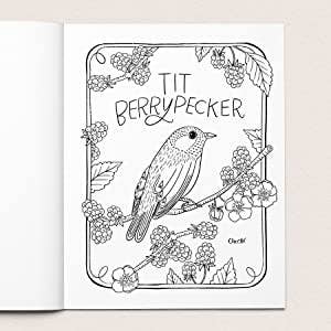 Your Very Favorite - Wholesale Coloring Book - Adult - 30 Dirty Birdies: An Adult Coloring Book