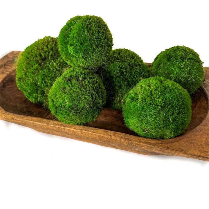 Forever Green Art - Vente Décorations de table - Ensemble de boules de mousse préservée – assortiment de 12 pièces