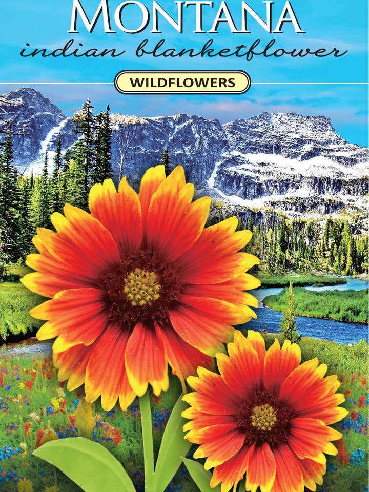 Montana Indian Blanketflower Wildflower Seed Packet for wholesale by Created By Nature