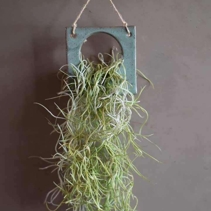 Luftväxtkeramik - kvadratisk modell för wholesale av Mud & Maker