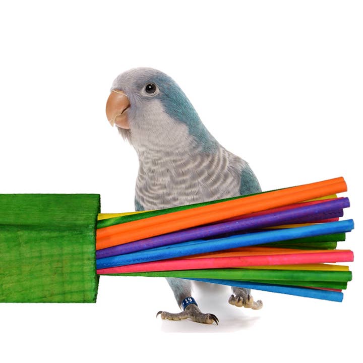 Super Bird Creations, LLC - Wholesale Bird swing/toy - Paper Party