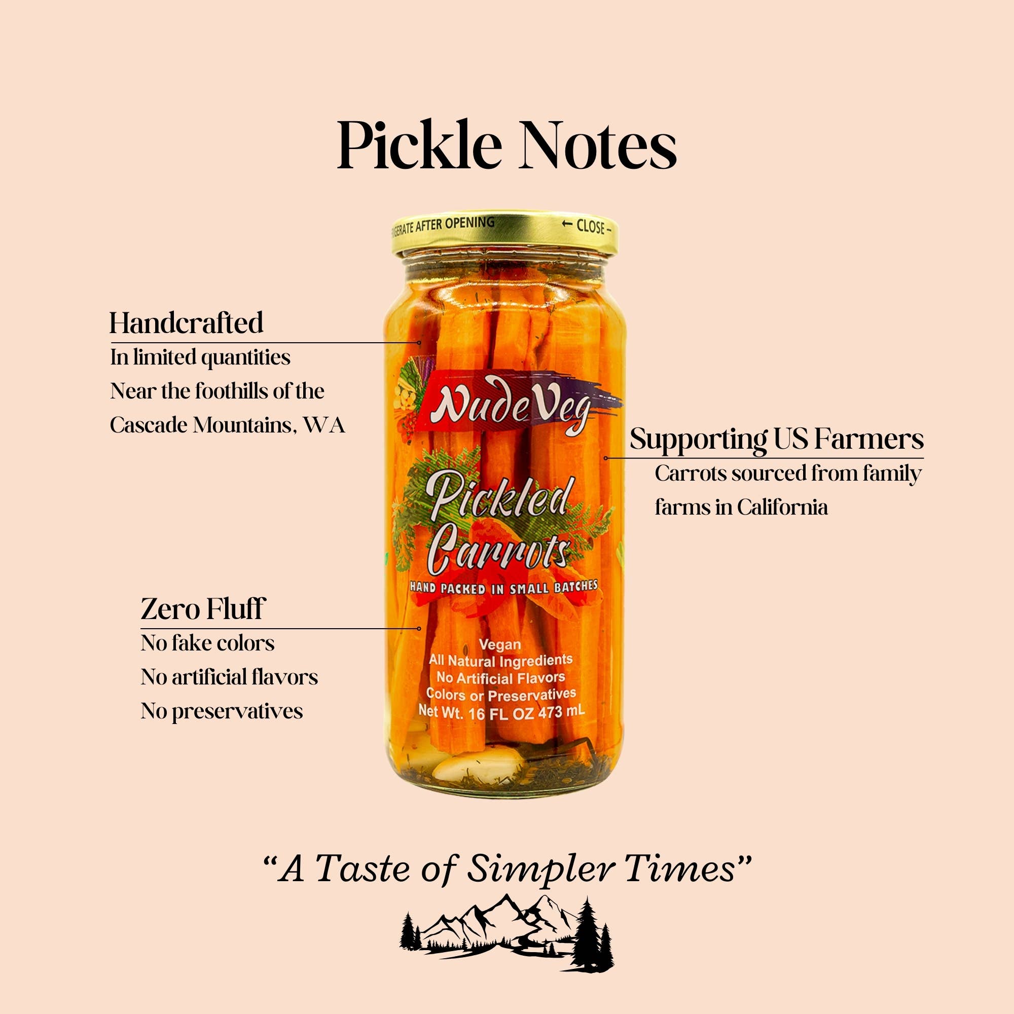 Ayurveg | NudeVeg Pickles - Wholesale Pickled Vegetables - Handcrafted Pickled Carrots | Spicy Dill | Artisanal Pickles1