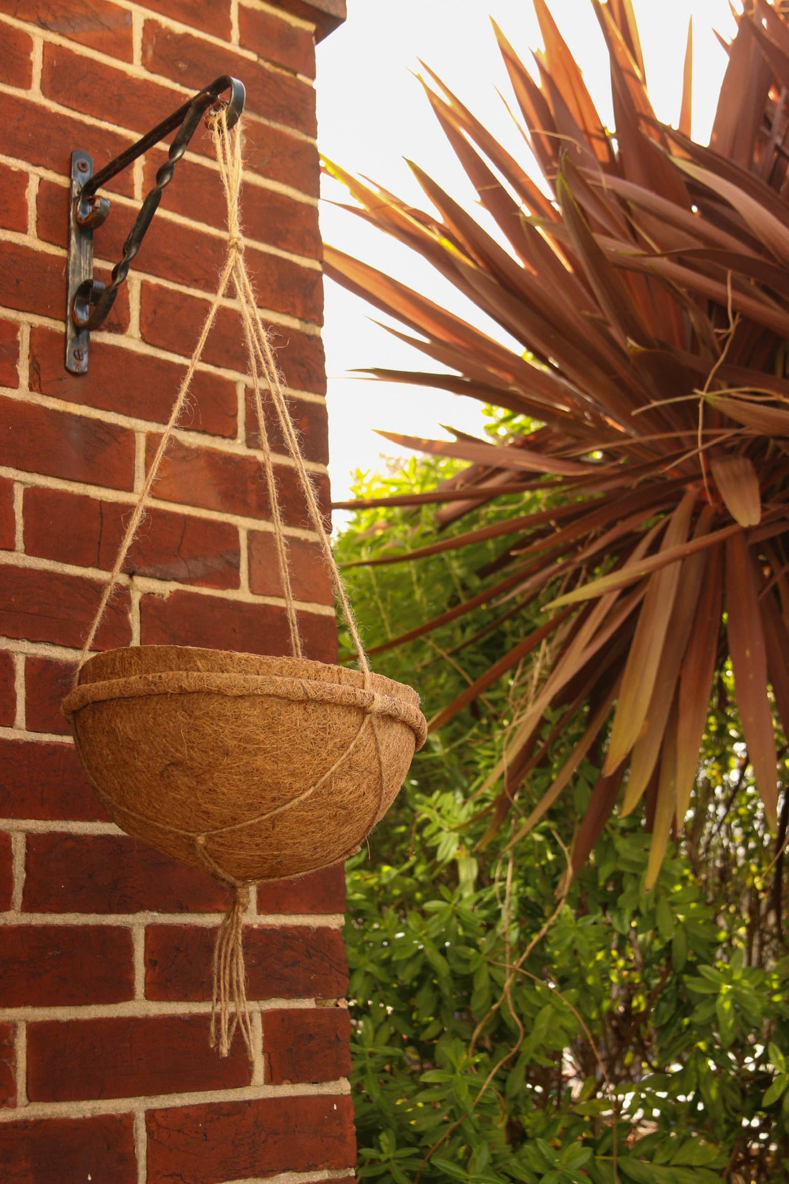 CoirProducts.co.uk of Salike Limited - Vendita all'ingrosso Fioriere a sospensione - Fodere in cocco | fodere in fibra di cocco naturale e biodegradabile al 100%11