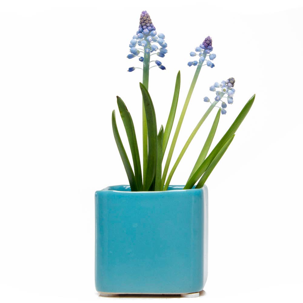 Chive - Wholesale Plant Pot - Svek Succulent Planter For Succulents And Floral Frogs9