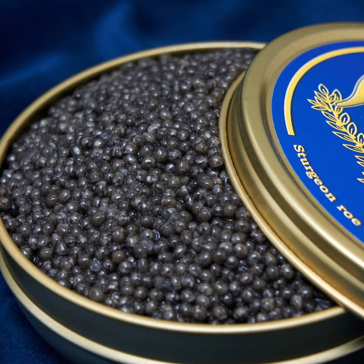 CAVIAR FROM ITALY for wholesale by TOVARITCH PREMIUM VODKA